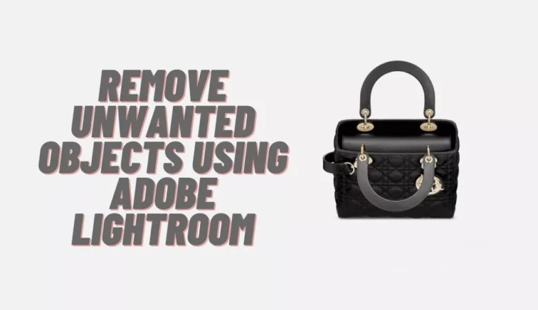 remove background- Remove unwanted objects using Adobe Lightroom